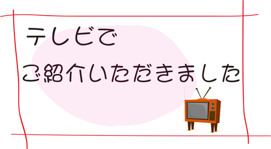 やすまるだしがテレビで紹介されました。