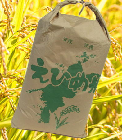 愛ある愛媛の旨い米