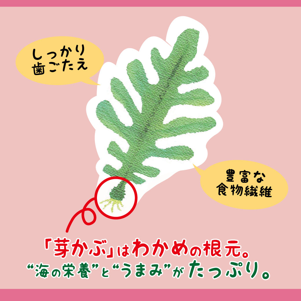 おしゃぶり芽かぶ梅味